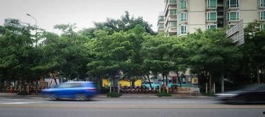 海角社区入口,神秘入口背后的奇幻世界