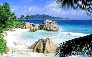 海角top,一场梦幻之旅的启程