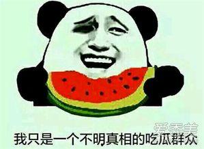 吃瓜群众,吃瓜群众眼中的明星生活